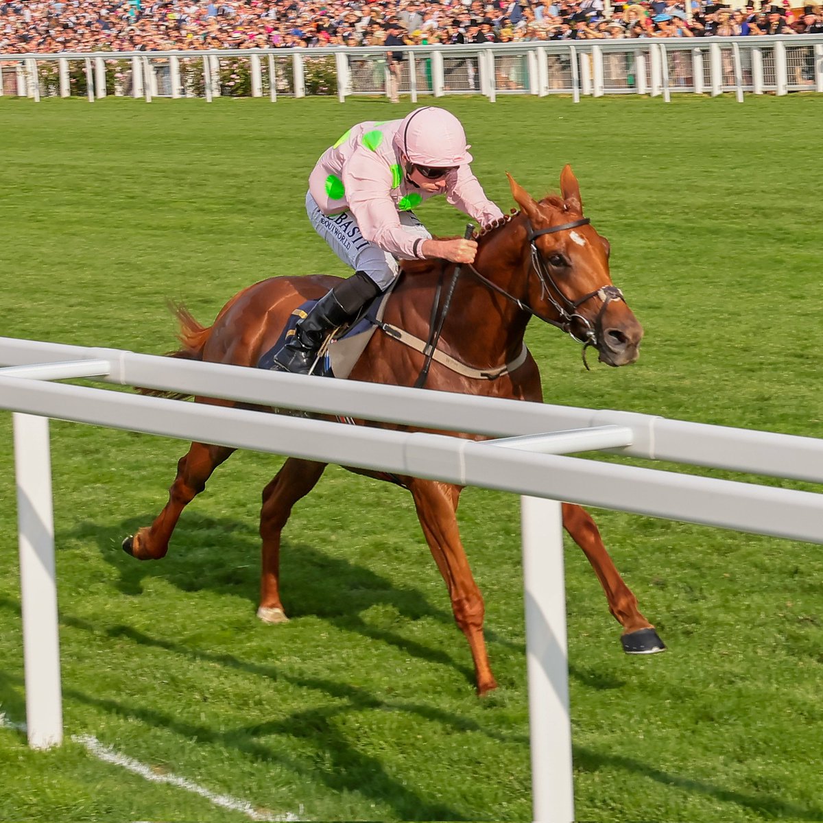 Stephen R Power tweet media