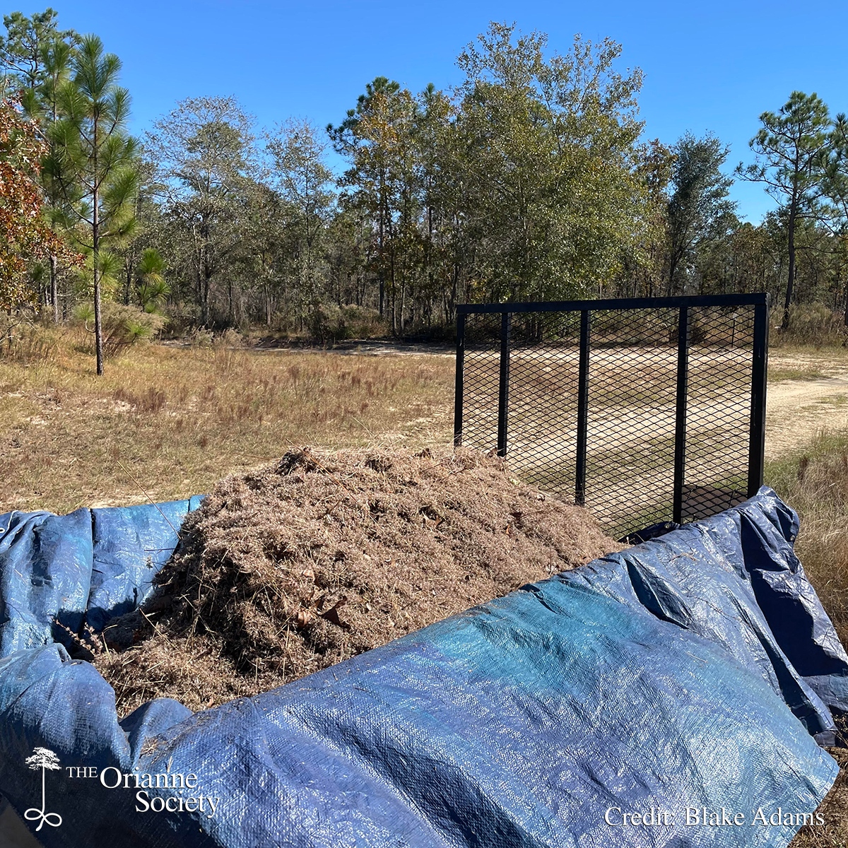 The Orianne Society tweet media