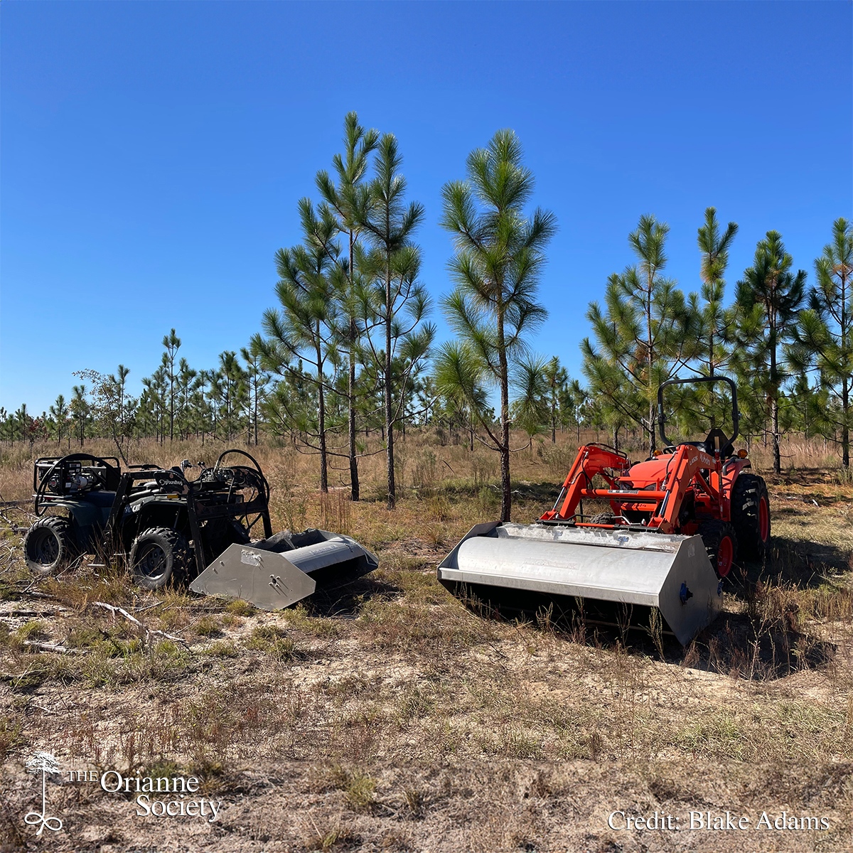 The Orianne Society tweet media