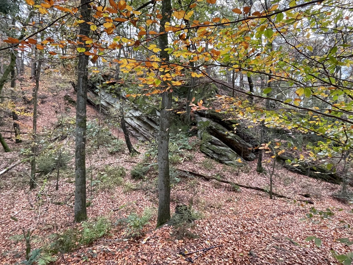 Herfst in het #teutoburgerwald #ibbenbüren