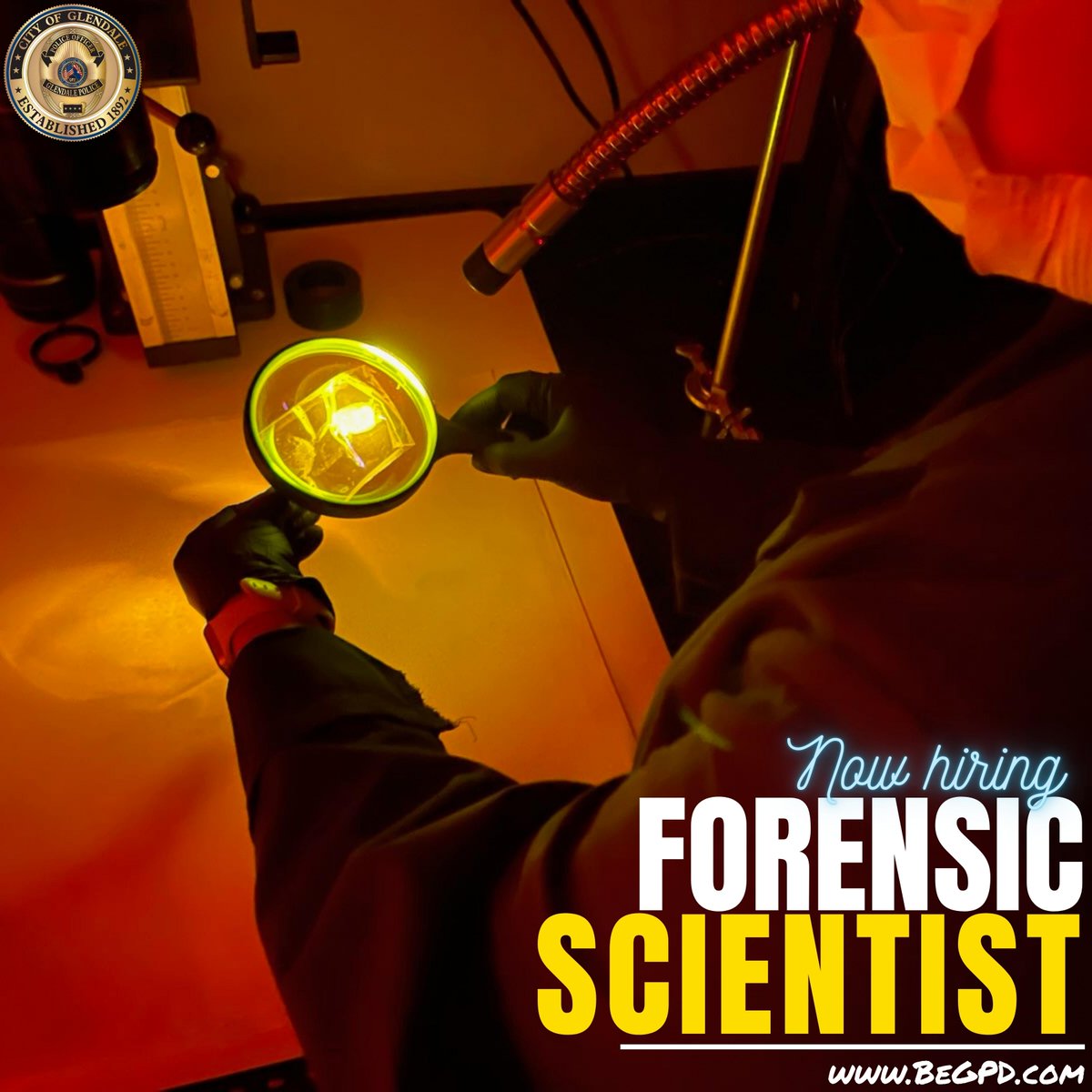 GPDRecruitment's tweet photo. NOW HIRING: FORENSIC SCIENTIST
SALARY: $63,108 - $94,662 Annually
APPLICATIONS ACCEPTED UNTIL: 11/12/2023
Don't turn DNA into Did Not Apply!!!
You got this!👉https://t.co/y1msPzqzHf
#BeGPD #police #PoliceJobs #forensics #policeforensics #forensicscientist #lawenforcementjobs https://t.co/PFa6CzaoeU