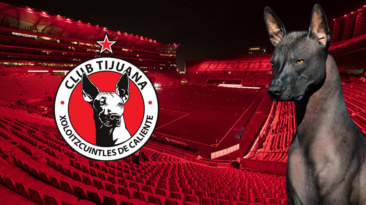 #FM24 Save has begun! 

I’m in the border city of Tijuana with Los Xolos. 

The buzz is back for Football Manager so let’s go! 🙌🏽

🇲🇽🐾⚽️