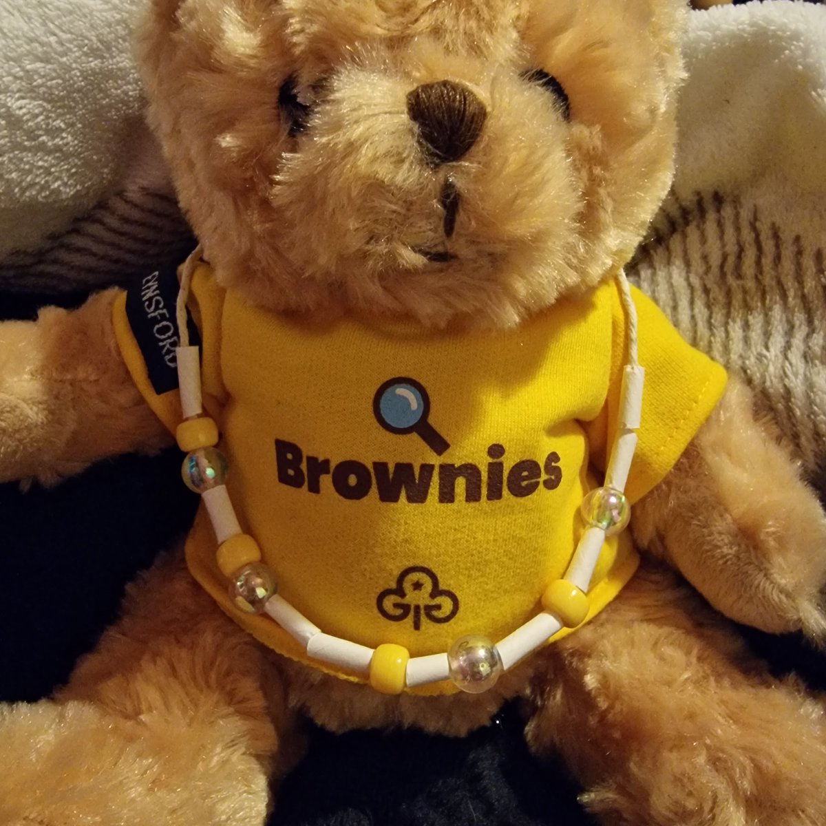 2nd Farningham & Eynsford Brownies tweet media