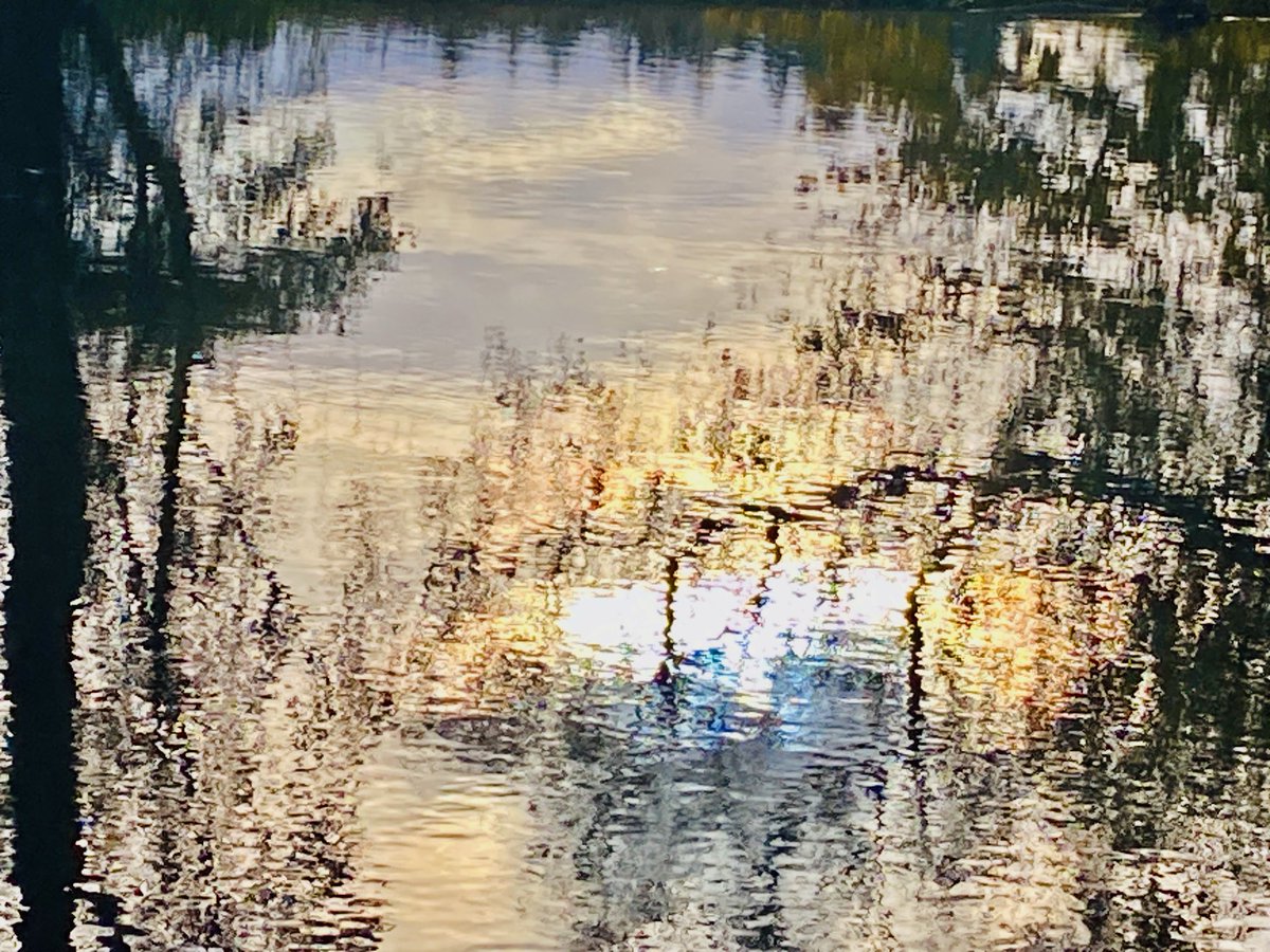 Noah and Leland took some great photos of a heron down at the river today and the light was perfect for snapping reflections of the trees in the water. #snaphappy ⁦@knoxacademy⁩