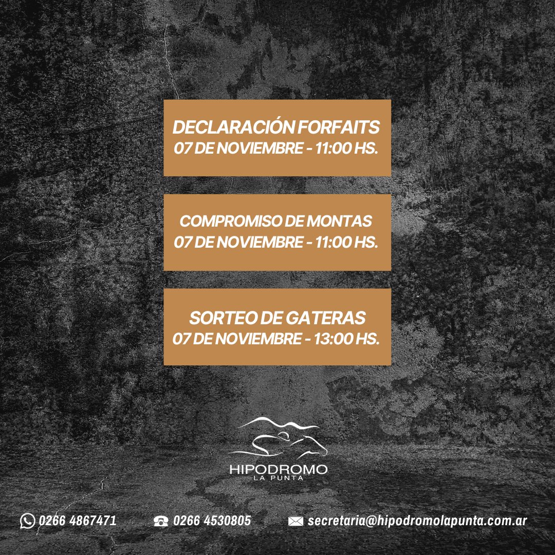 HIPODROMO LA PUNTA tweet media