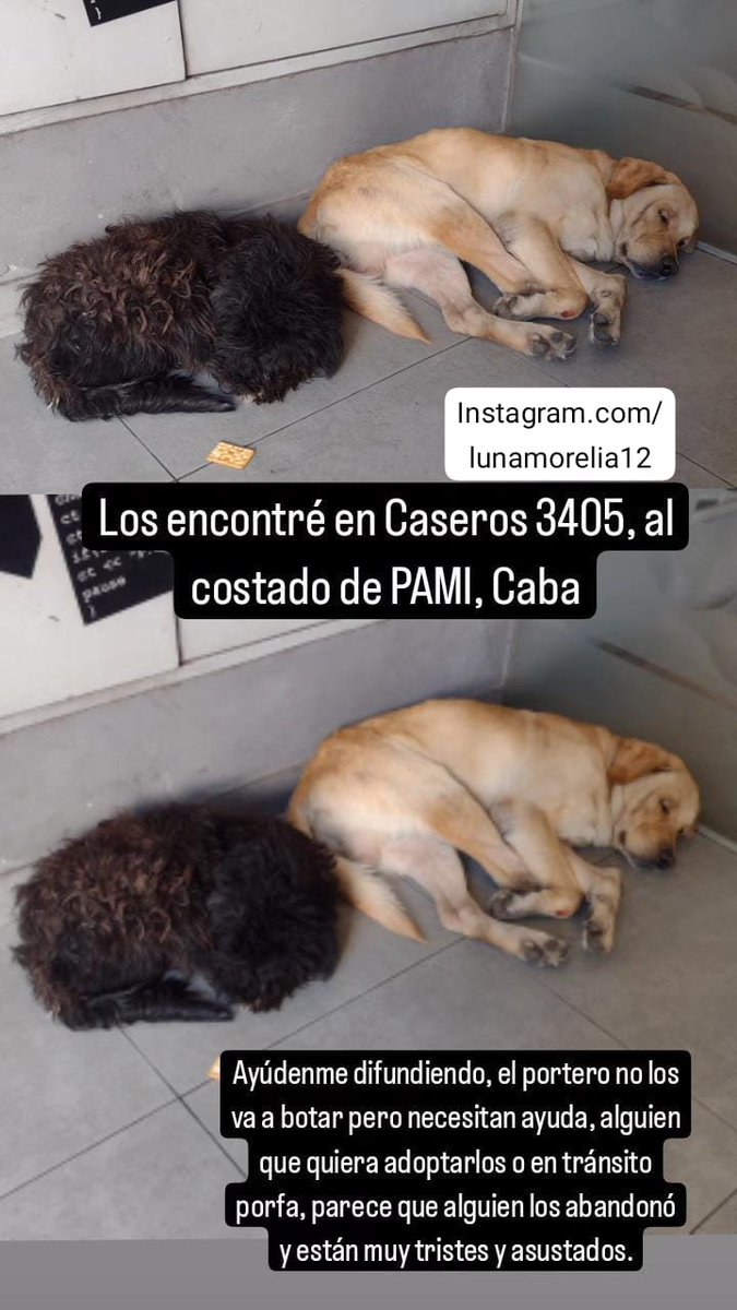 patripeyrou's tweet photo. Difundimos https://t.co/DA2oJZI6oO