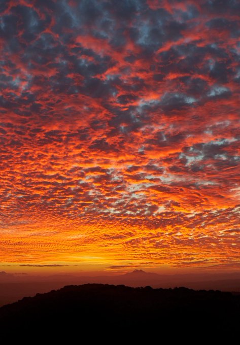 Doreenyy88's tweet photo. Ocean sunset afterglow in the clouds  🌇 https://t.co/zskjeuRvCL