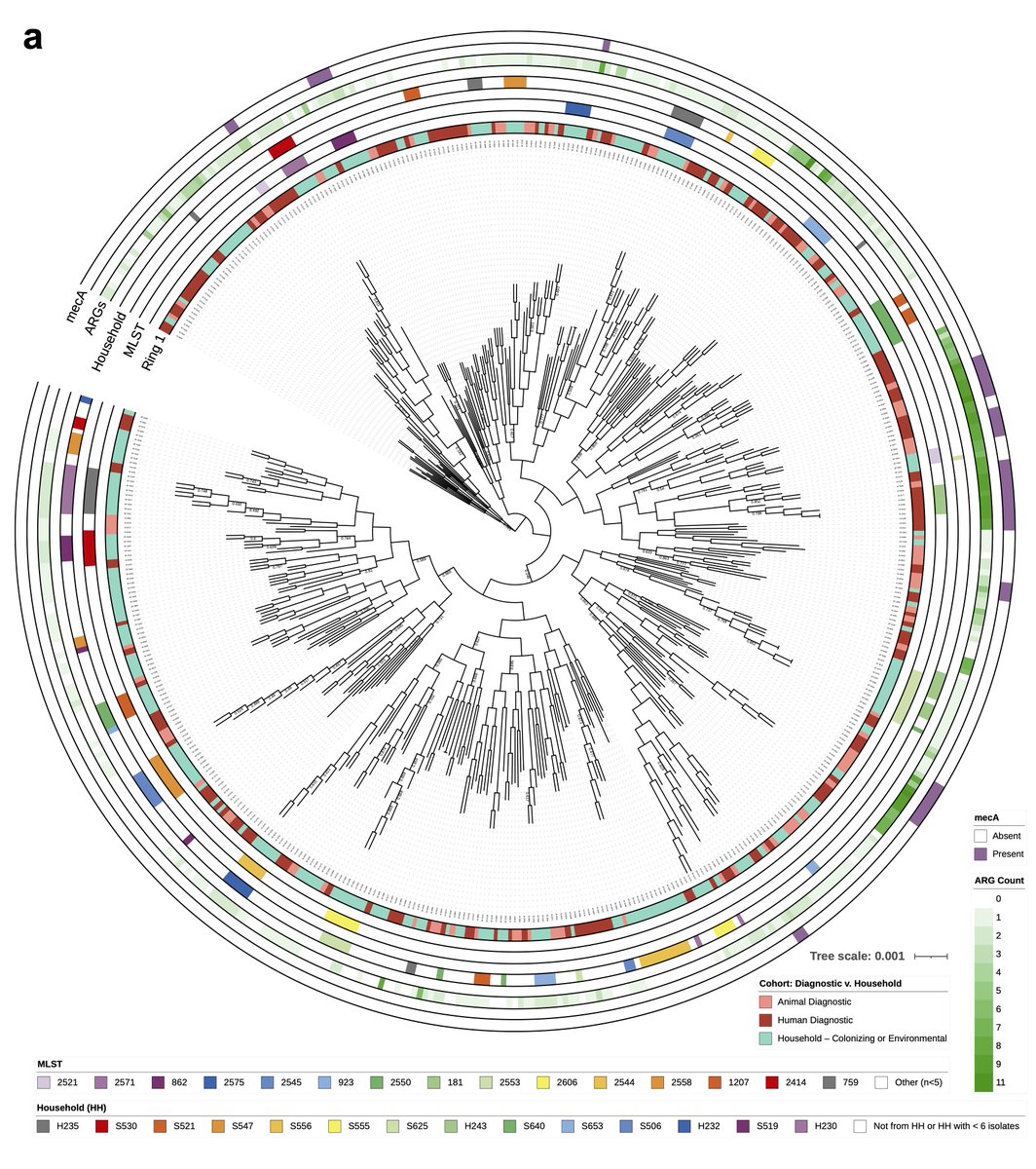 Excited to see a piece of my thesis out now in
<a href="/NatureComms/">Nature Communications</a>! We take a deep dive into Staphylococcus pseudintermedius, long known as a dominant skin colonizer &amp; cause of canine pyoderma, with an underappreciated human clinical burden (often masquerading as S. aureus!).

1/11