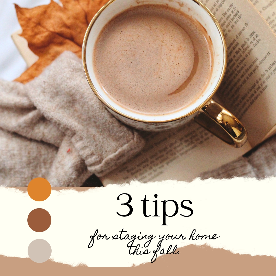 CarolinaSpaces's tweet photo. Selling your home this fall? Use these 3 home staging tips for a faster sale! https://t.co/e9vXbn85CE

#fallrealestate #homestagingtips https://t.co/aIFZ5alYiA