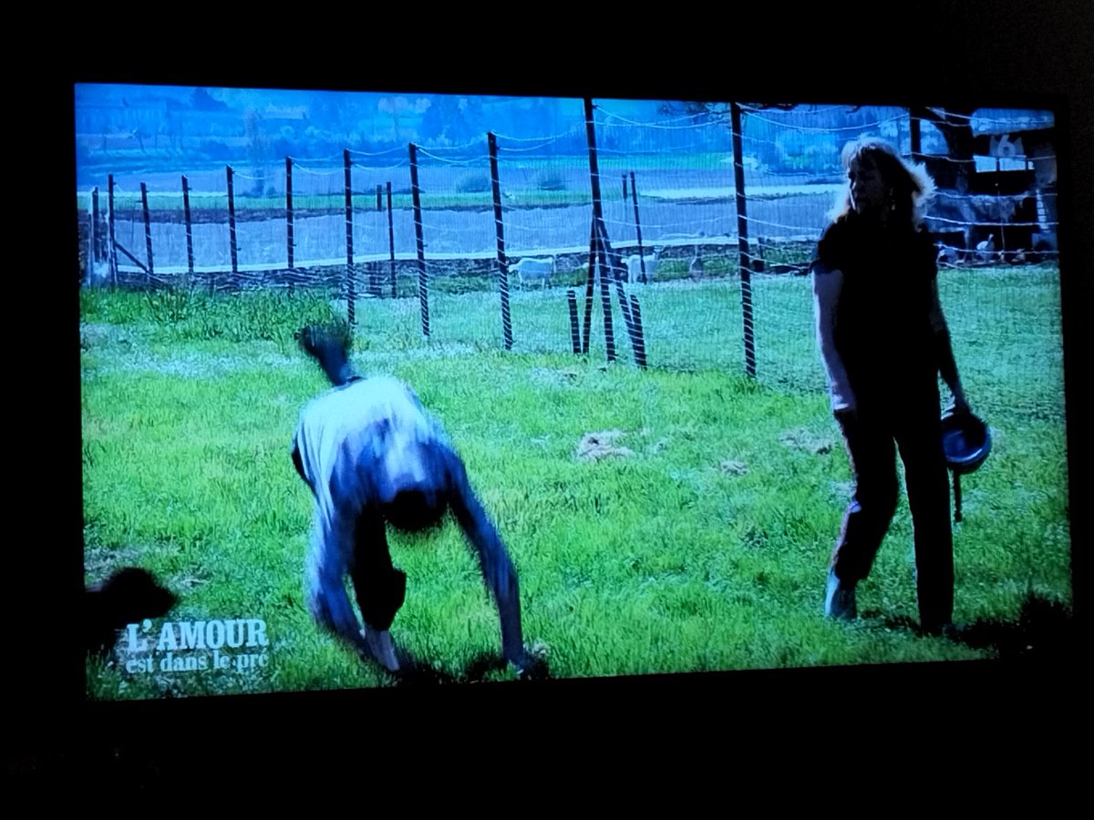 elfinicheur's tweet photo. Vasy yuki fait roulade #adp23 #adp2023 #adp #m6 https://t.co/gKHJjRpW96