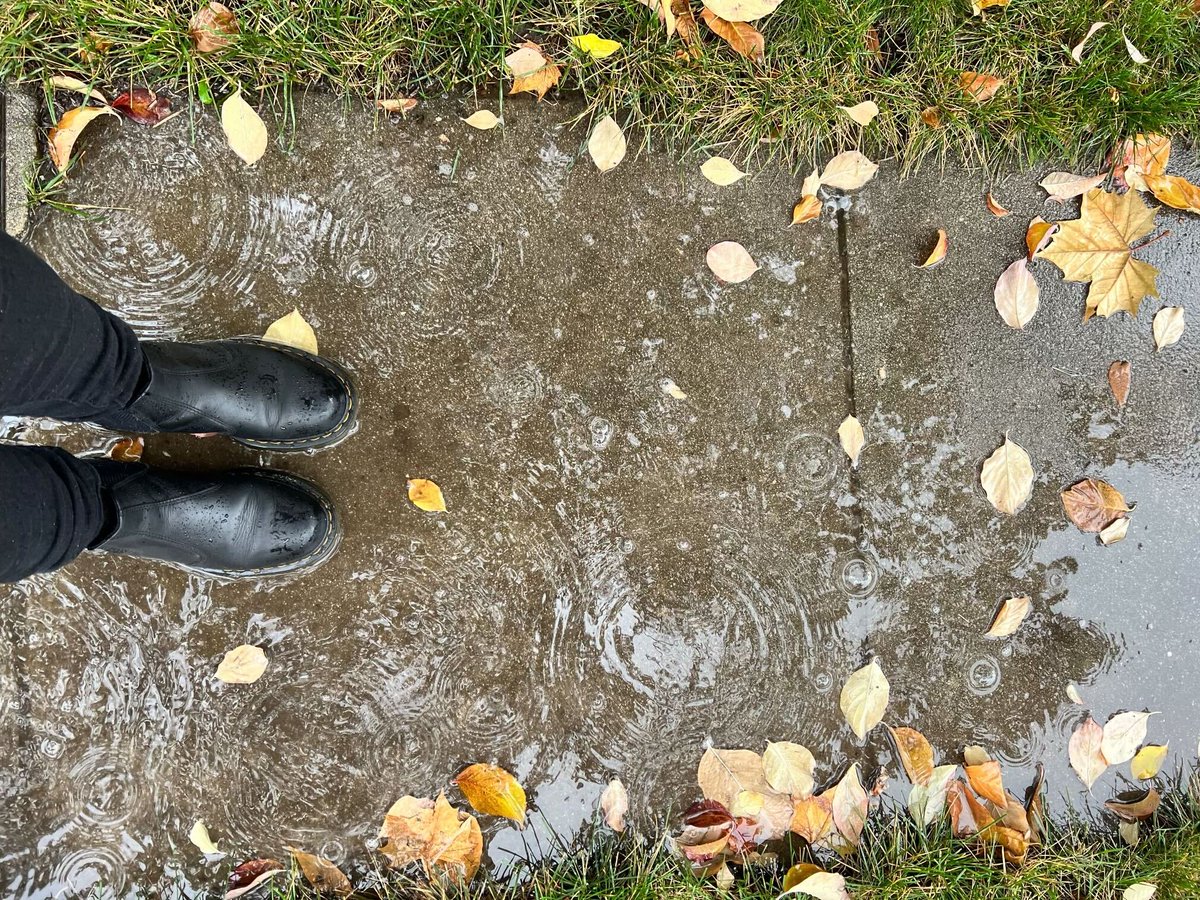 I'm out here rain or shine, knocking our neighbors to make sure they Get Out to Vote! ☔️

One more day to go. Polls are open tomorrow, Tuesday, November 7 from 8am-8pm. Make your voting plan today!