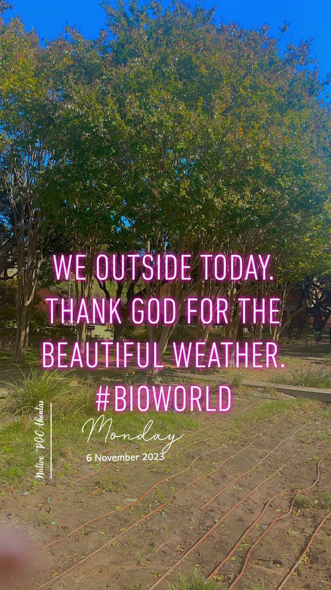 AkUtEpHaCe08's tweet image. Nature scavenger hunt 🌳🐿️🦝🦋🐍🐸🐝🦅🐟🦆🐢🐠🍑🪰 #Biology #BioWorld #NatureBeauty