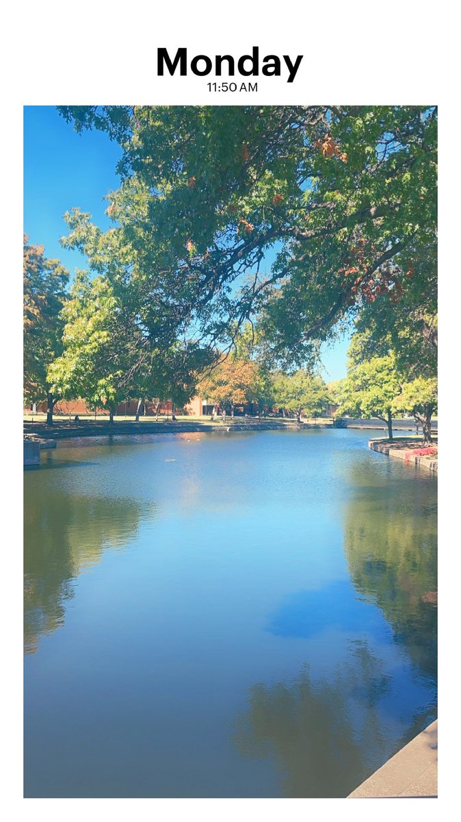 AkUtEpHaCe08's tweet image. Nature scavenger hunt 🌳🐿️🦝🦋🐍🐸🐝🦅🐟🦆🐢🐠🍑🪰 #Biology #BioWorld #NatureBeauty