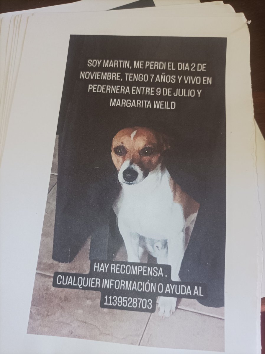 Segunda tanda de fotocopias 🥺🙏
Cualquier ayuda es agradecida.
📍 Lanús Este