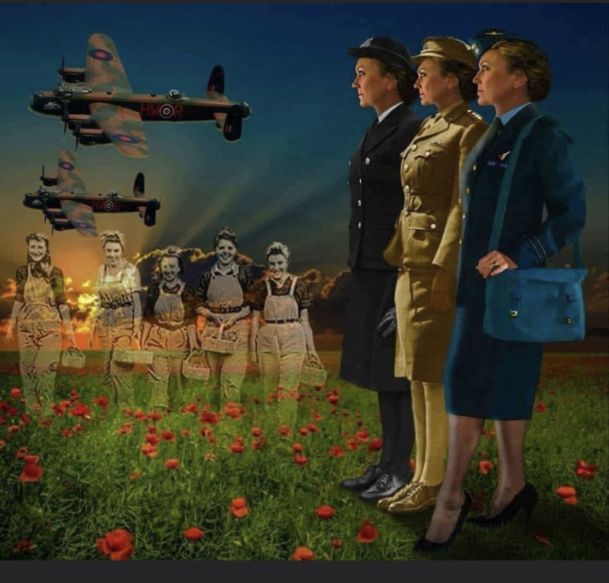 Lest we forget, carry on donating &amp; wearing your Poppy <a href="/PoppyLegion/">Royal British Legion</a> #RBL #poppyappeal2023