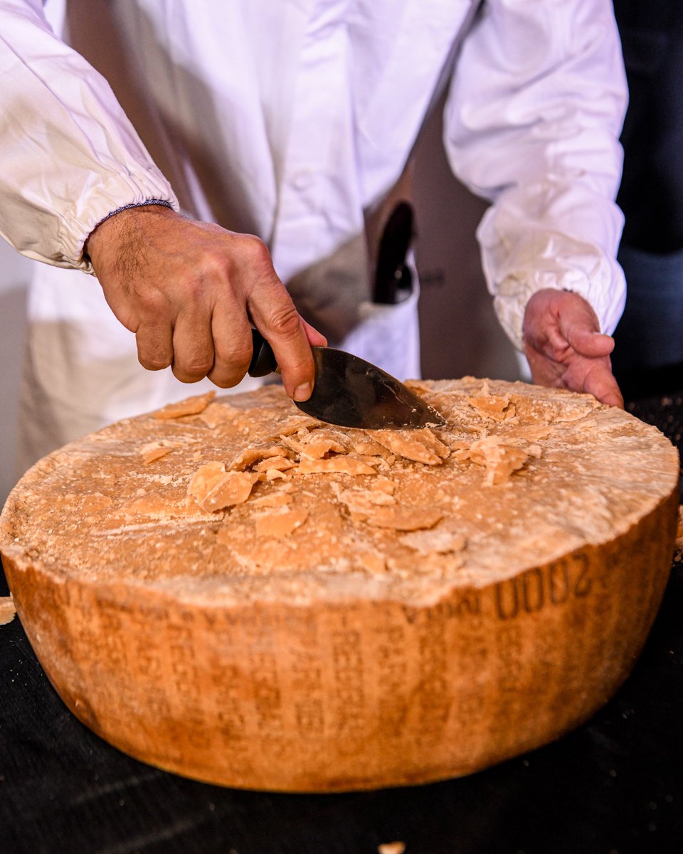 vilaviniteca's tweet photo. Hoy hemos vivido un momento único con la abertura de un Parmigiano Reggiano de 23 años de curación. Adquirida por Ardai hace dos años en una subasta benéfica en los World Cheese Awards se trata de una pieza única en el mundo. Abrimos hilo 👇🏼 https://t.co/xv1TvjHduI