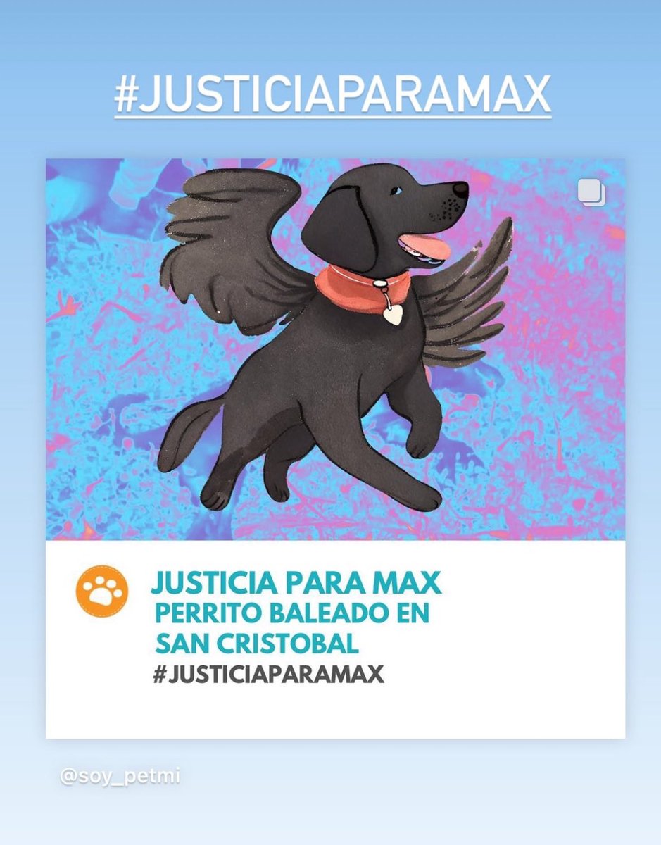 mishamoliviatis's tweet photo. #juaticiaparamax https://t.co/u7GBogzcIa