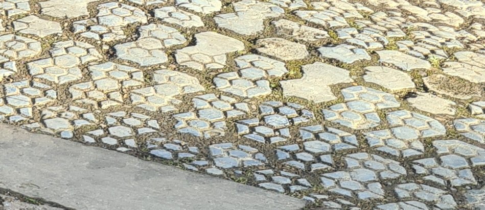 Scott WB tweet media