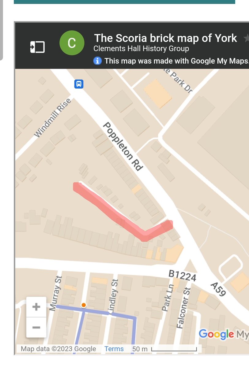 Scott WB tweet media