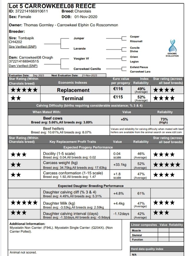 Cathal Gormley tweet media
