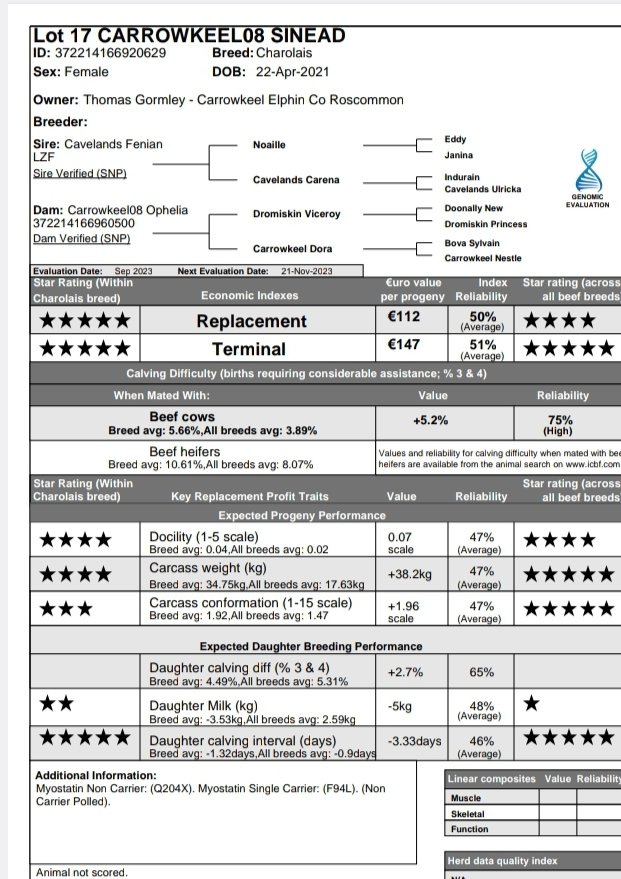 Cathal Gormley tweet media