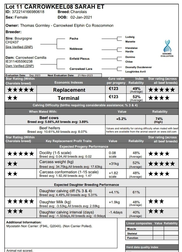 Cathal Gormley tweet media
