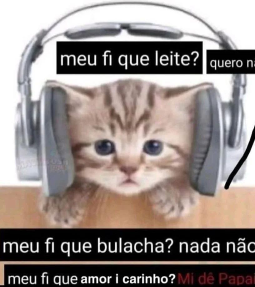 perfil dedicado a gatinhos e peitos (@odeiootaco) on Twitter photo 