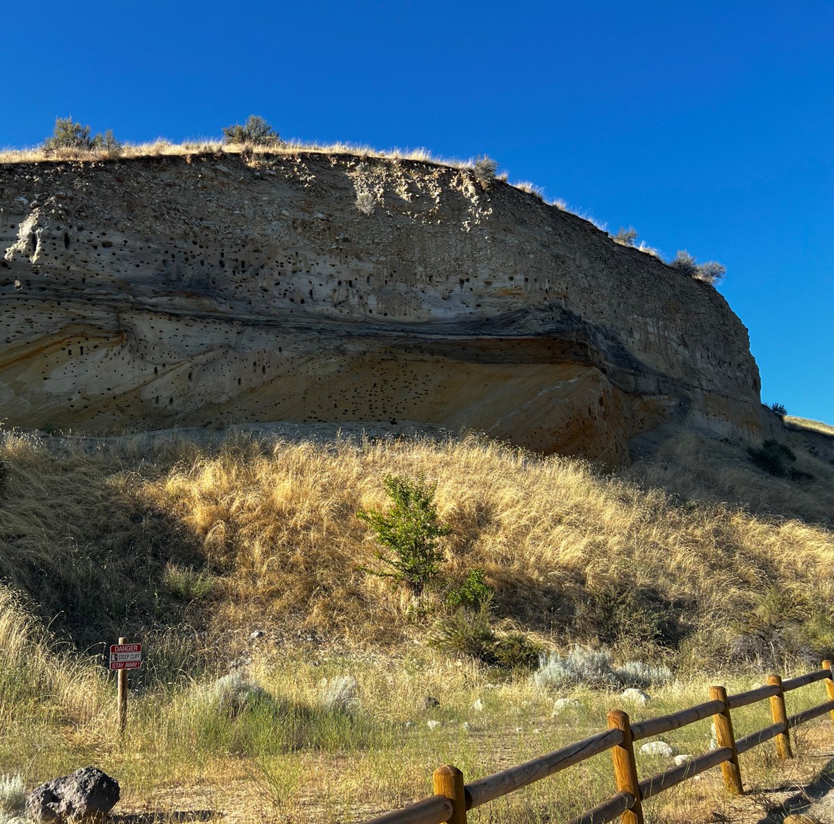 Boise Foothills- a hill with bird nests- My life story is important. My feelings and choices do not define me. I get to decide what does. I will keep growing and changing.