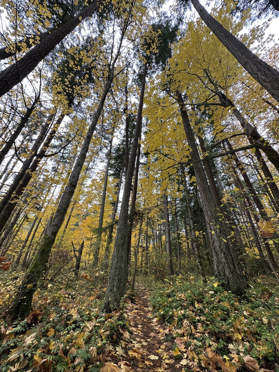 #PKOLS #MtDougHiking #VictoriaBC Back in the old hood #SleepersandTies #bookclubbook #amwriting #womenwriters #Canadianauthor ⁦@NONPublishing⁩