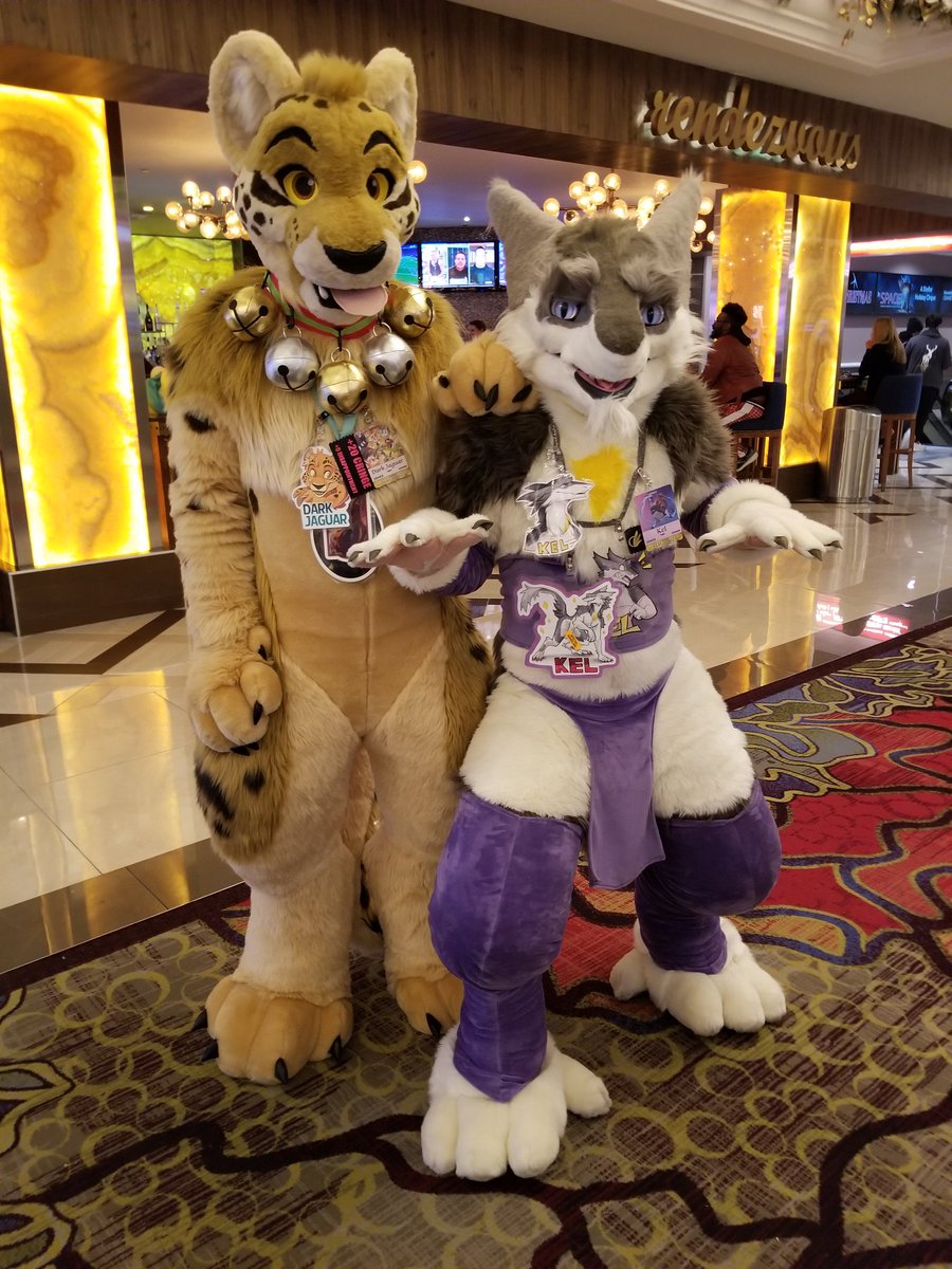 darkjaguar01's tweet photo. Hungry for hot dog. Lol https://t.co/K6kYHFpCI9