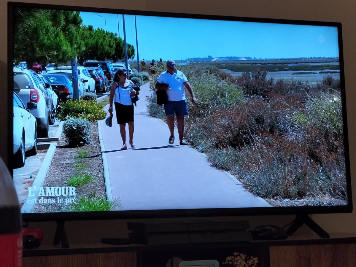 elfinicheur's tweet photo. Qui va a la plage pour les diodes et le vitamine D sans dec . Et c'est moi où elle est chiante , fait tout débrancher JP #adp #adp23 #adp2023 https://t.co/S2gWYS4jn2