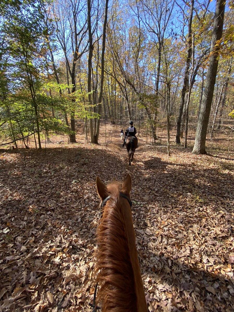 ITSourcer(ess) tweet media