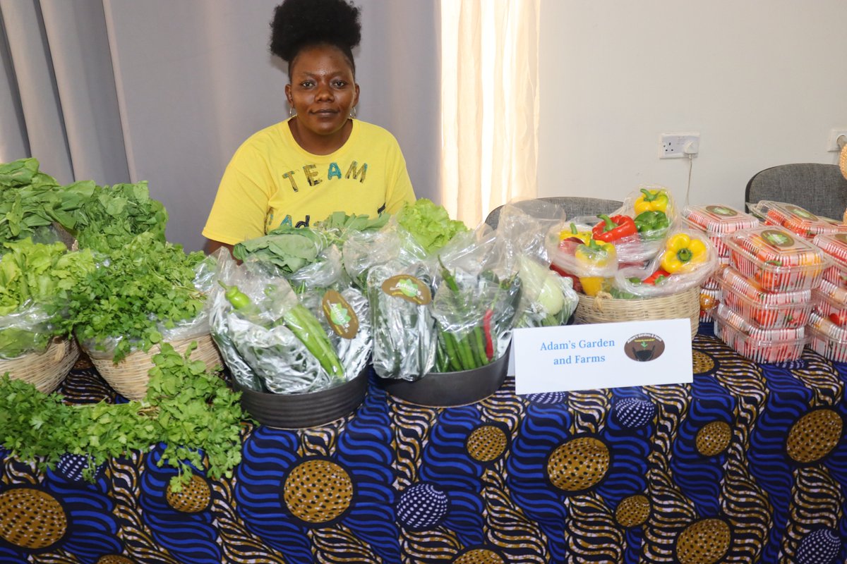 UNDPSierraLeone's tweet photo. Congratulations to the 18 businesses of our #GrowthAccelerator cohort for women-led cooperatives &amp; MSMEs! 
Each of them received investment grants &amp; will be supported with Technical Assistance &amp; Business Dev't  Services to grow their ventures. 

Thanks to our #PartnersAtCore. https://t.co/pKslN0pklw