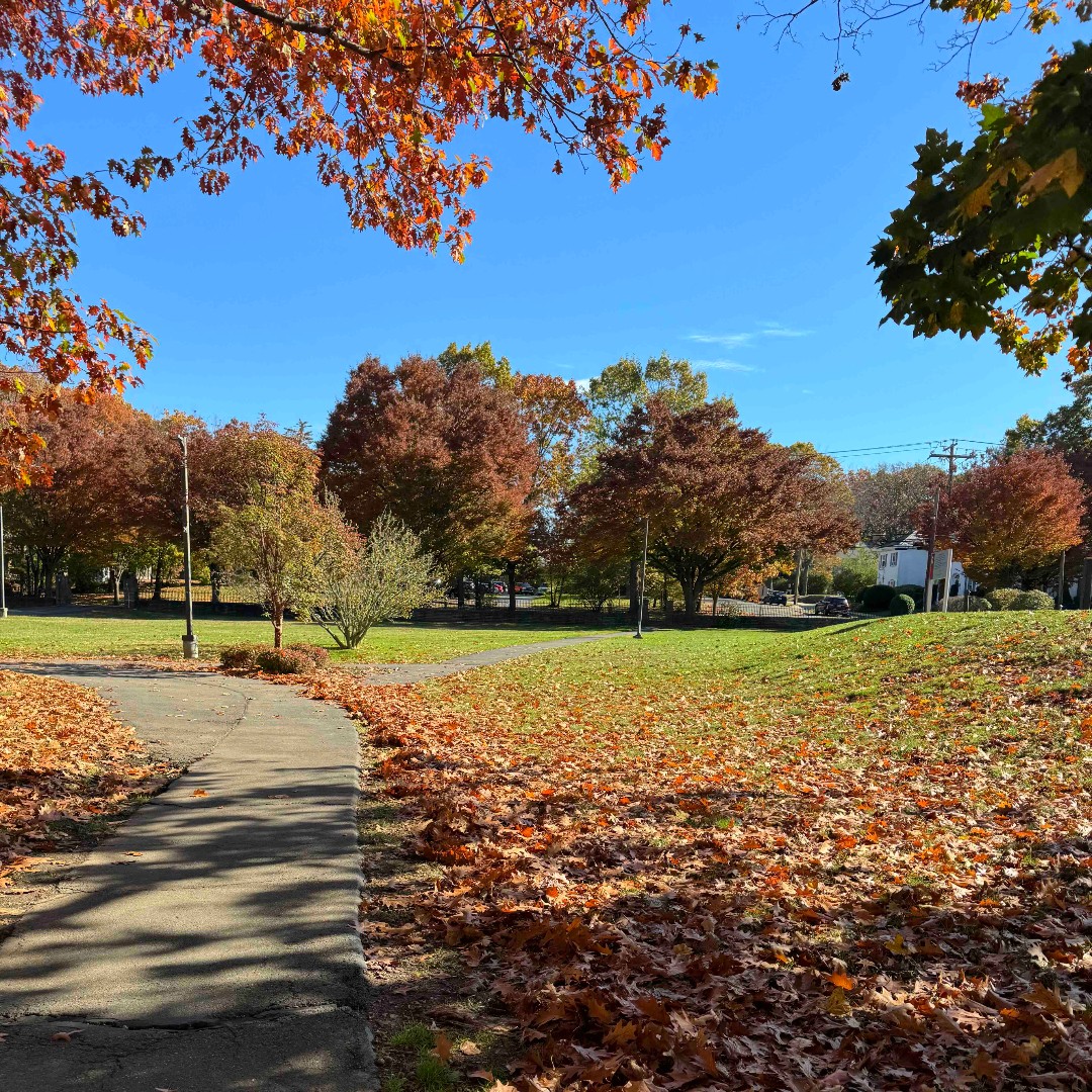 AlbertusSocial's tweet photo. Life at Albertus lately. 💙
#AlbertusMagnusCollege #FearlessFalcons #College #CTCollege https://t.co/7j7ZRGGmVh
