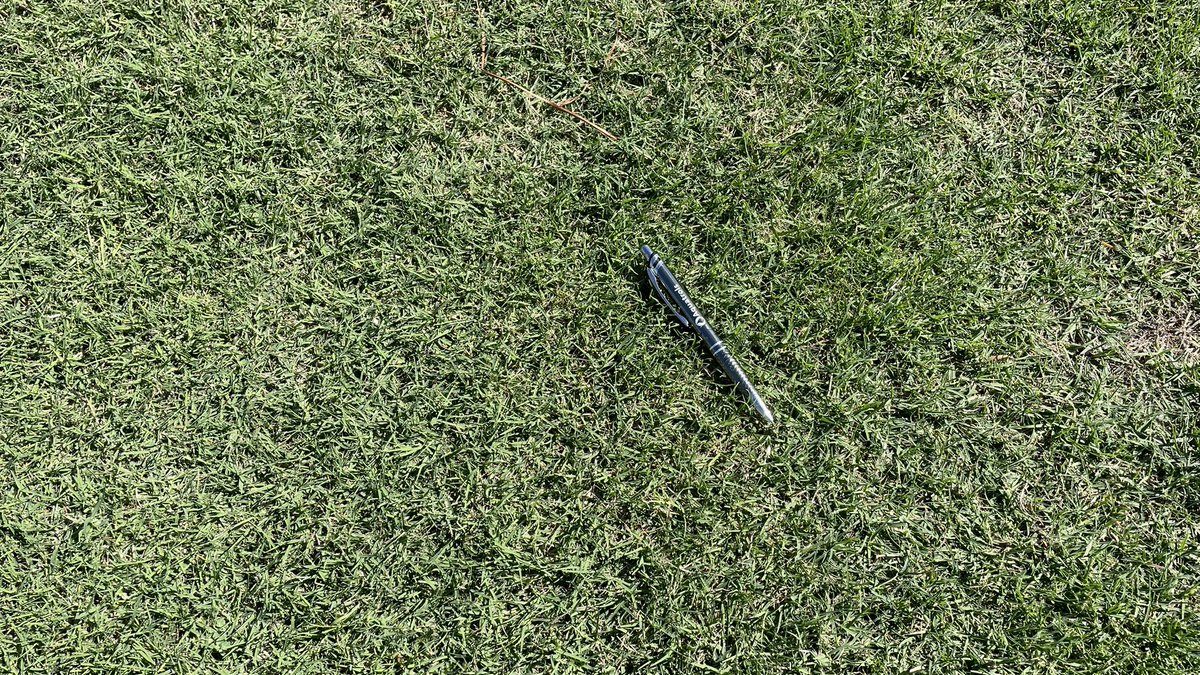 In Palm Desert, Coachella (UCR-TP6-3) winning the drought recovery race. Tiftuf not responding well. No Water or rain for 4 weeks, currently 4 weeks of recovery, in a cooler season. Next winter performance