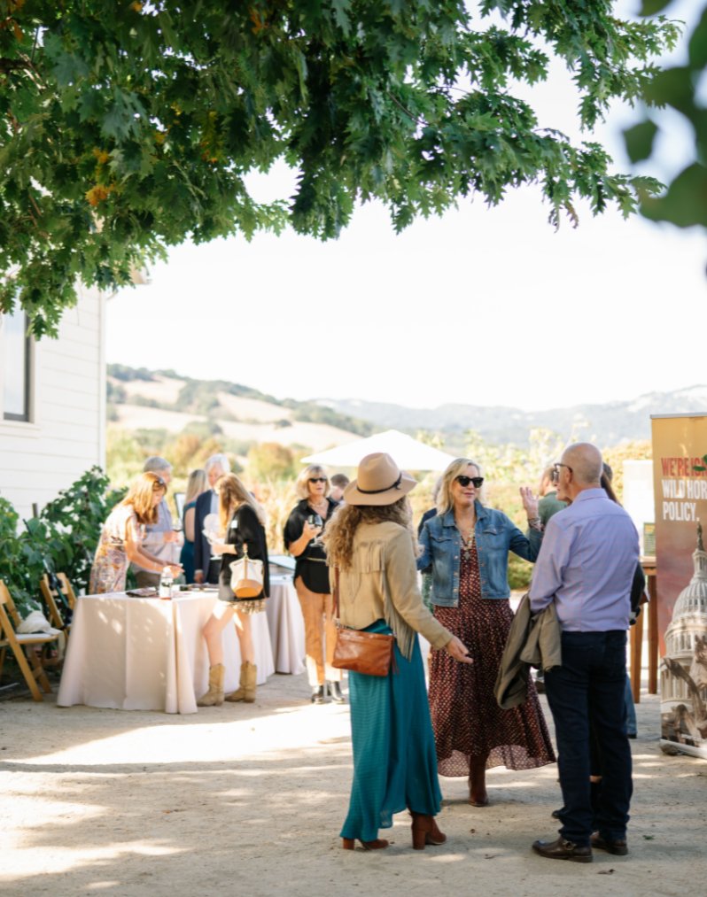 FreeWildHorses's tweet photo. A big shoutout to KT Merry, one of AWHCโs Ambassadors, who recently donated her talents to photograph our Stay Wild event last month! KT donates 20% of all retail sales of her Simply Wild series to AWHC. https://t.co/XVgDoWQ2zR #simplywild https://t.co/8bytV8Hvs3