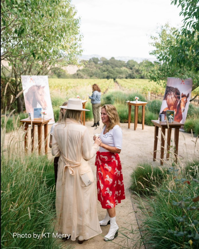 FreeWildHorses's tweet photo. A big shoutout to KT Merry, one of AWHCโs Ambassadors, who recently donated her talents to photograph our Stay Wild event last month! KT donates 20% of all retail sales of her Simply Wild series to AWHC. https://t.co/XVgDoWQ2zR #simplywild https://t.co/8bytV8Hvs3