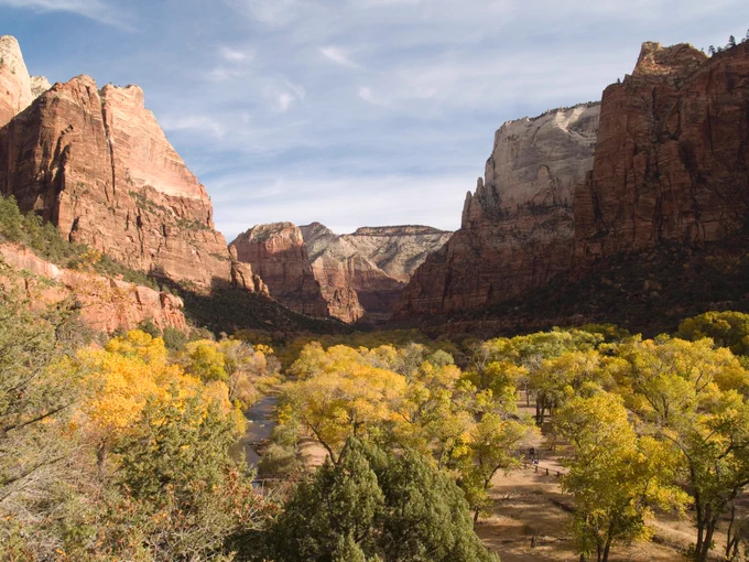 Cottonwood trees blanket the floor of Zion Canyon and turn a golden color in autumn. Photo by Christopher Gezon / NPS.