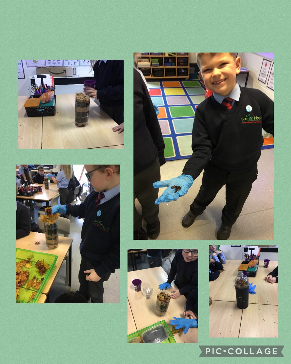 BartonMossCPS's tweet photo. In science, Year 2 used their super science skill ‘researching’ to answer questions about the invertebrate, worms. They then created their own wormery, and over the coming weeks they’ll be working on the skill ‘observing changes over time’ @SwantonSarah @woolley_mrs #BMscience https://t.co/F1FjXn2sVs