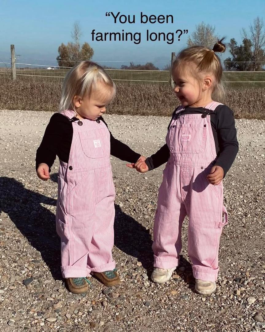 “You been farming long?”

Taken by a Dekalb dealer in central Iowa!
