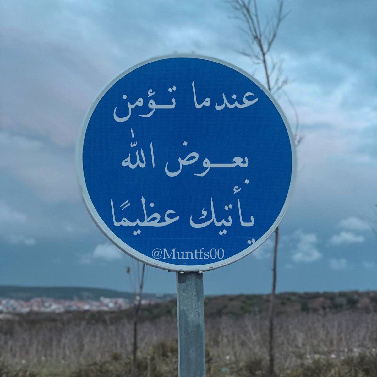 القانون (٤٨)