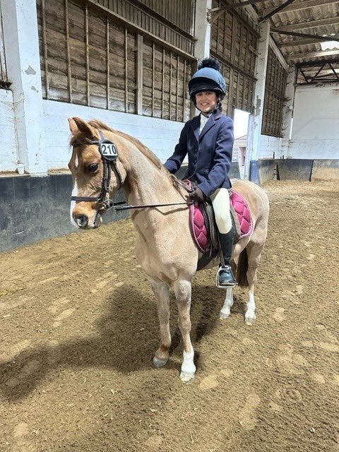BMS_SP0RT's tweet photo. More sporting success for #TeamBMS over the half term break.
The Equine team posted excellent results in the @NSEAEst1991 regionals.
๐Charlotte T & Suri H placing 1st & 2nd in the 40cm.
๐Eleanor B 3rd (80cm) & 1st (90cm)
๐Sophie T 7th (90cm)
Well done girls! #TeamBMS https://t.co/tG5V6UYCKd