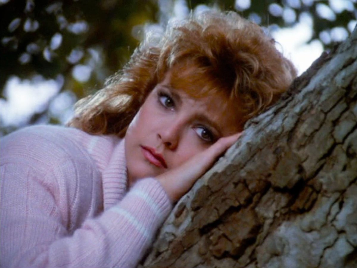 CarringtonCaps's tweet photo. The Thinking Tree. #FallonCarrington #Dynasty https://t.co/vWcybi8Atn
