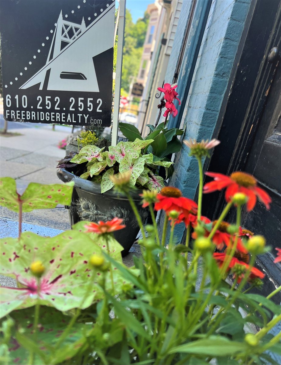 freebridgereal's tweet photo. Let's talk REAL ESTATE!! Thanks Mark Nutting, for the 'Hello Easton' podcast🤗 https://t.co/klDUnREpGN