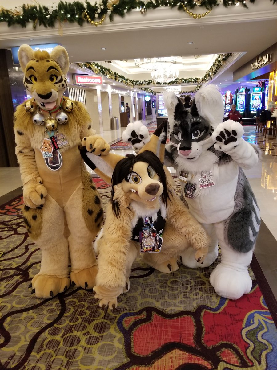 darkjaguar01's tweet photo. My buds and roommates for con. @crazyyellowfox and @ravendynamo https://t.co/henicuOOLk