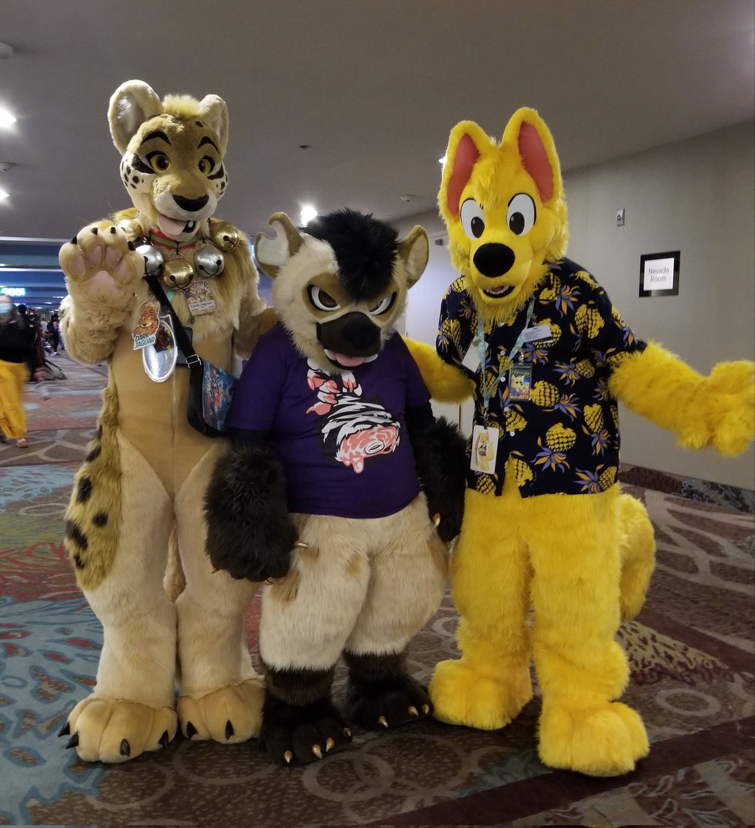 darkjaguar01's tweet photo. My buds and roommates for con. @crazyyellowfox and @ravendynamo https://t.co/henicuOOLk