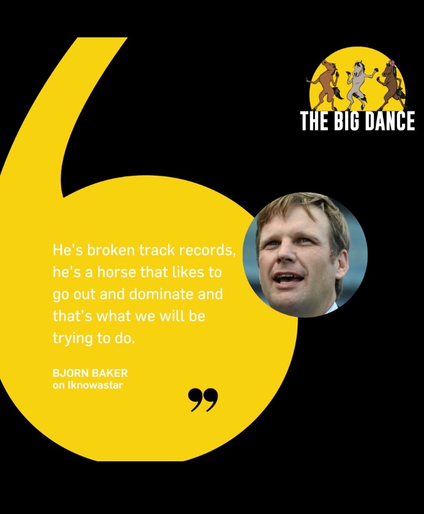widdenstud's tweet photo. 💫STAR WITNESS💫 has the favourite IKNOWASTAR in the $3m The Big Dance🕺 at Randwick today. 
Good luck to trainer of the moment @BBakerRacing &amp; connections!💪🏻
#WiddenVic @vicbreeders https://t.co/dh0Jw22Iva
