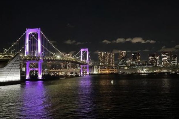 miicosann's tweet photo. マジでお得です。『 大人1,000円、子ども500円で夜景クルーズ 』に乗れることを知らない人が多すぎる。「場所は横浜ー東京」「羽田空港に離着陸する飛行機」「レインボーブリッジやベイブリッジ」と見どころ満載の95分コース。4人家族でも3,000円で楽しめて最高！ただ、注意してほしいことがあって… https://t.co/qrhI6PzlLl