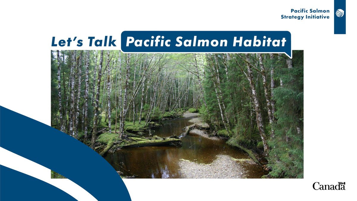 What is the most important thing to you when it comes to restoring fish habitat in B.C. and Yukon? Tell us what you think through our online survey at #LetsTalkPacificSalmon. ow.ly/vo5e50Q4JVh