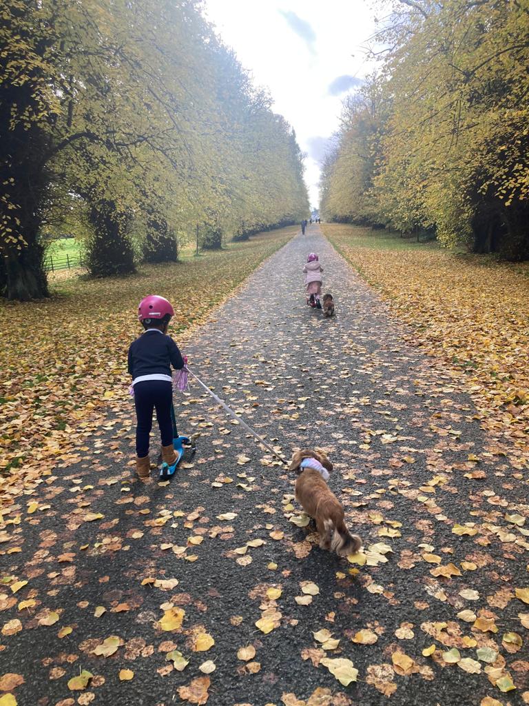 The Greatest Gift; our Children.
Protect them.

#MyGreatestGiftFromGod
#ProtectChildhood
#Autumn #Trees #Forest #Dogs #Scooters #Laughter #Family #Friends